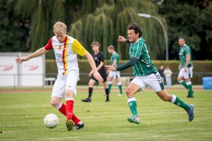 2025_09_03_Lingen_DB19031