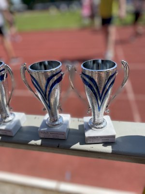 2CA9B4A7-8D52-4E21-A058-391063BAB725